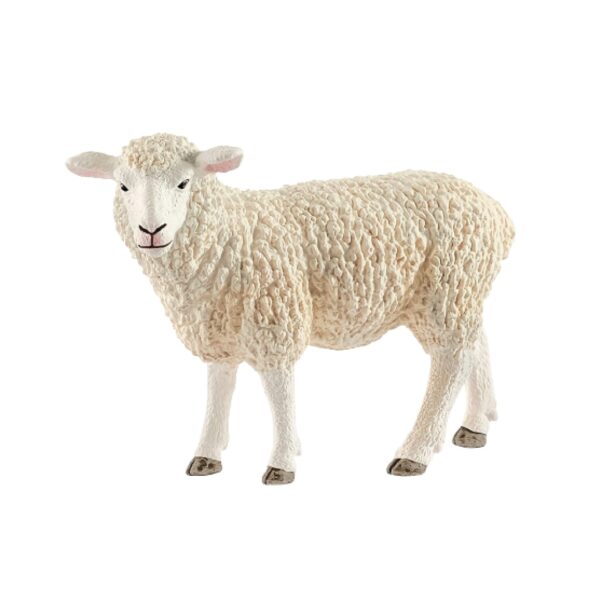SHEEP